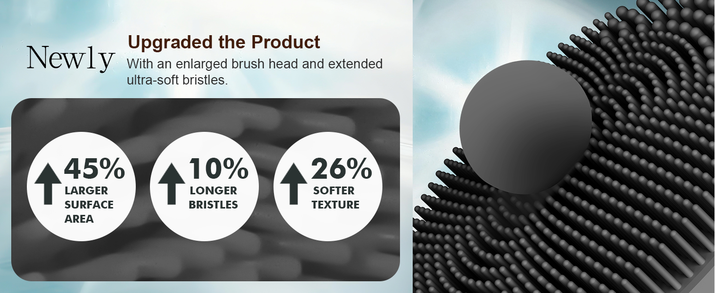 facial brush black