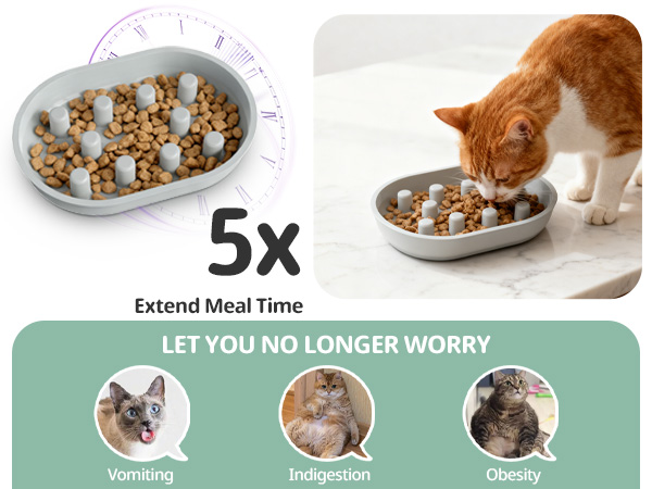 Microchip Pet Feeder Slow Bowl and Mat Set
