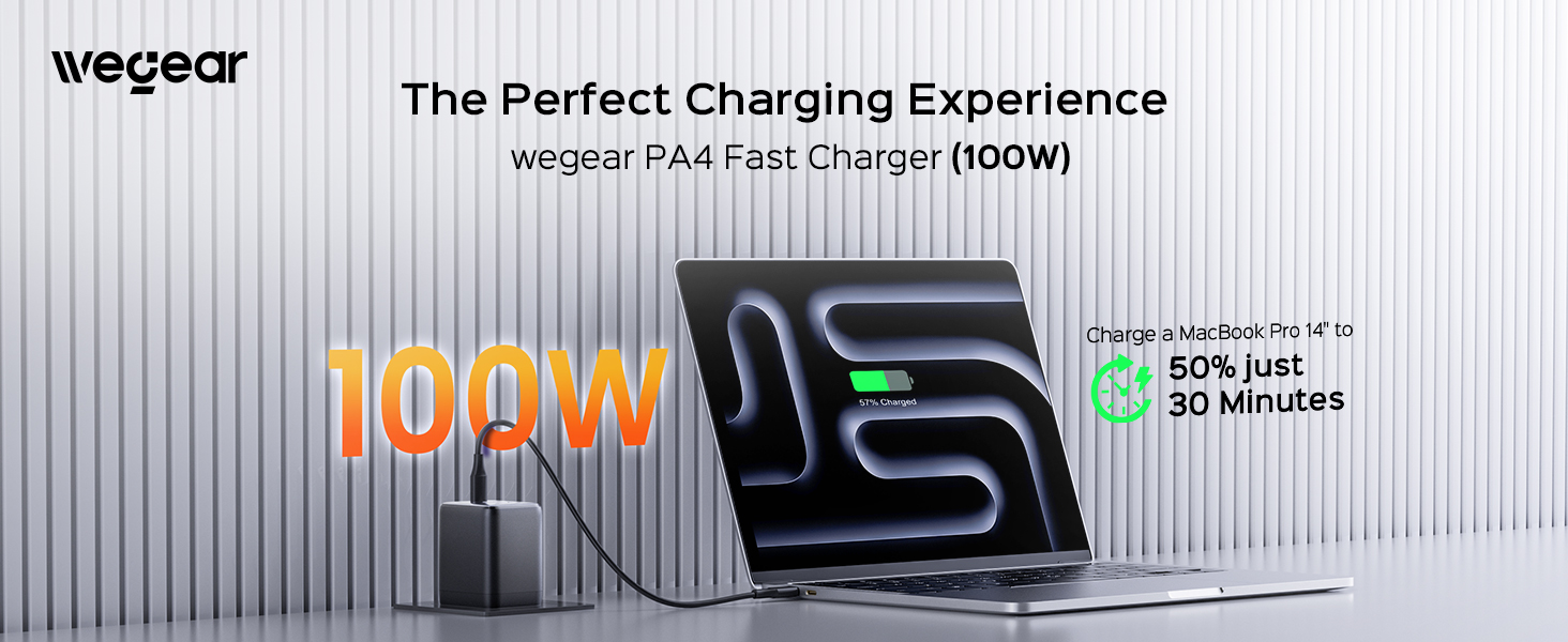 100w fast charger
