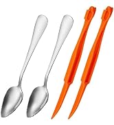 Grapefruit Spoon Serrated Edge Stainless Steel Fruit Knife Grapefruit Utensils Tool Dessert Spoon...