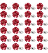 PH PandaHall 24 Pack Resin Rose Flower Brooches Pins for Women Men, Colorful Floral Lapel Pin Bad...