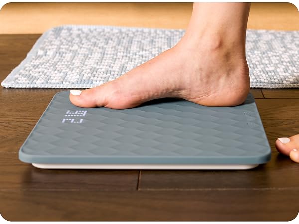 scale