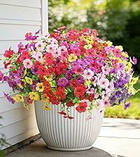 https://m.media-amazon.com/images/S/aplus-media-library-service-media/8d268aeb-3d70-413d-b8b1-98d1fcf2cf01.__CR72,0,1148,1291_PT0_SX200_V1___.jpg