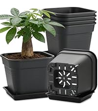 https://m.media-amazon.com/images/I/41qrgunPj6L.__AC_SR200,225___.jpg