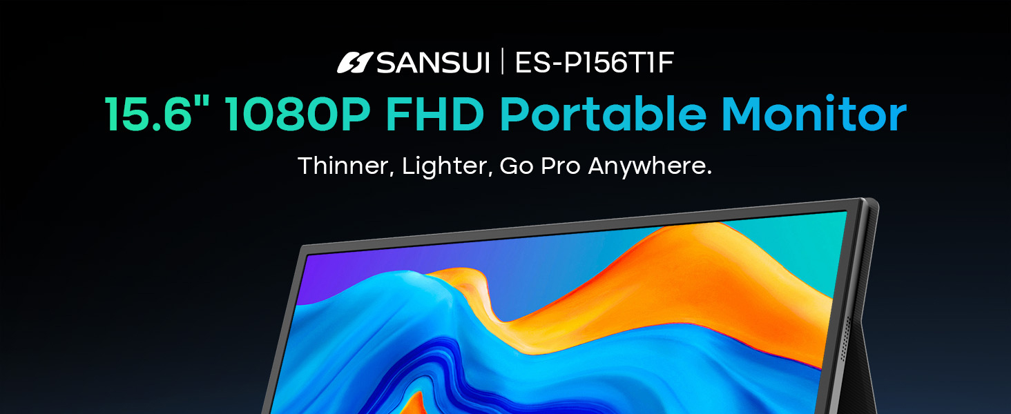 Portable monitor 1