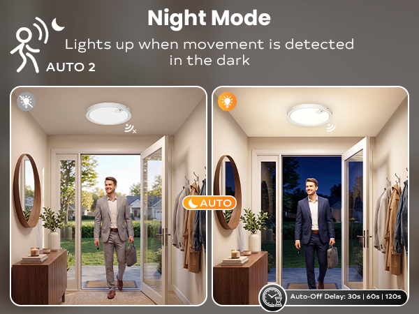 motion sensor ceiling light