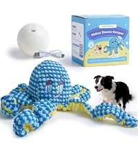 https://m.media-amazon.com/images/I/51lry3gRUML.__AC_SR200,225___.jpg