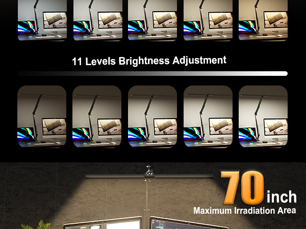 Led Desk Lamp