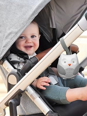 Skip Hop Portable Soother owl; baby portable soother; baby soother; on the go soother; infant sleep