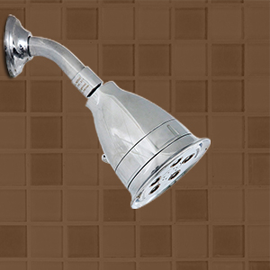 Hotel Showerhead