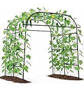 Giantex Metal Garden Arch Trellis for Climbing Plants Outdoor, 7.5FT Tall Adjustable Cucumber Tre...