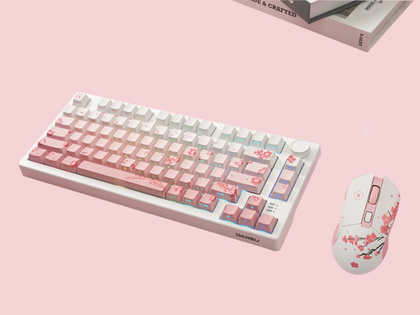 pink keyboard and mouse combe