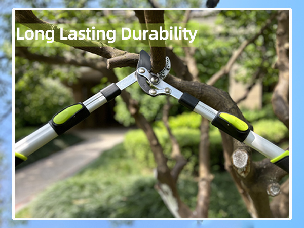 600 x 450 C-extend loppers