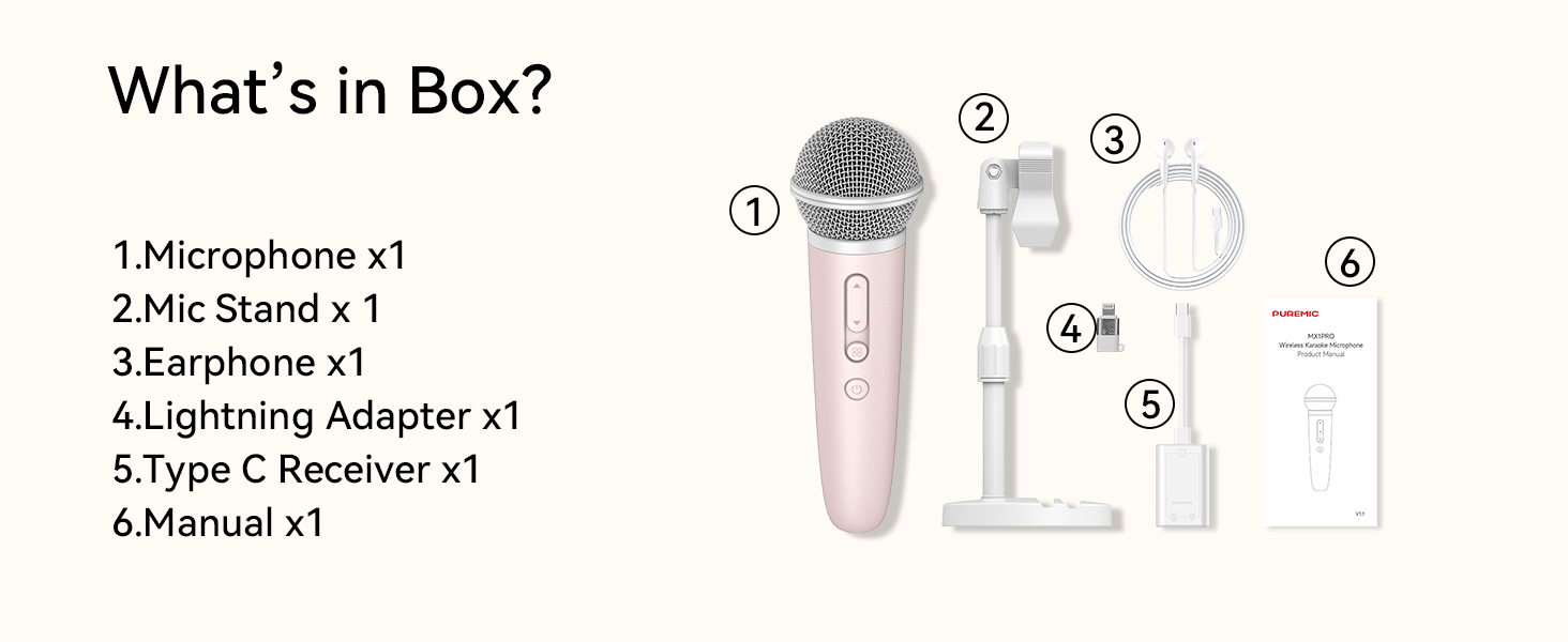 singing recording karaoke microphone
