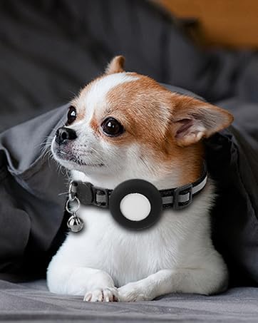 airtag dog collar with holder