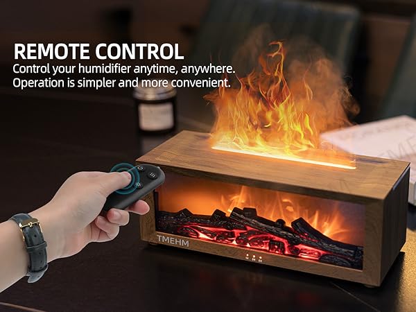 remote control