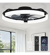 LEDIARY 20" Ceiling Fans with Lights and Remote, Modern Low Profile Ceiling Fan, 3 CCT, Stepless ...