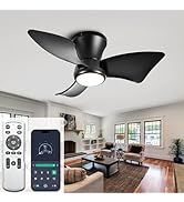 ducrew 24 Inch Flush Mount Ceiling Fans with Lights, High Airflow Remote/APP Control, 3CCT Dimmab...