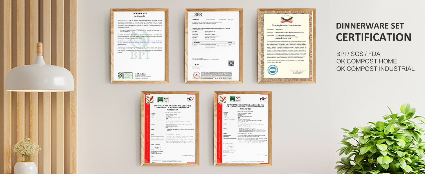paper plates certifications