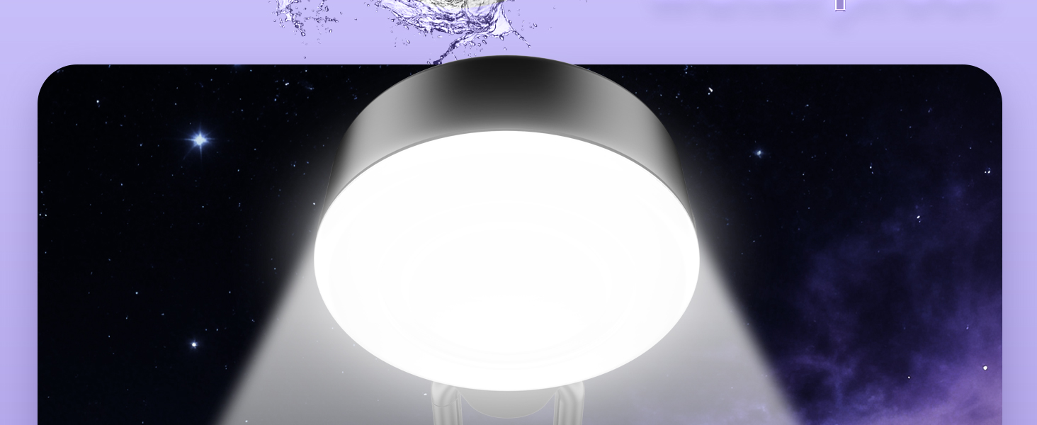 glow in the dark dog collar