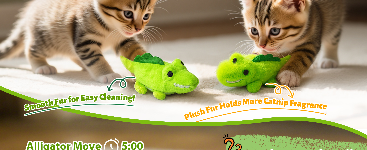 cat toys for indoor cats