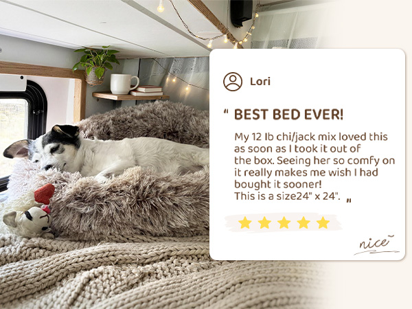 dog beds