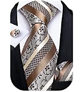 DiBanGu Paisley Mens Tie Set Silk Woven Jacquard Necktie and Pocket Square Cufflinks Gift Set For...