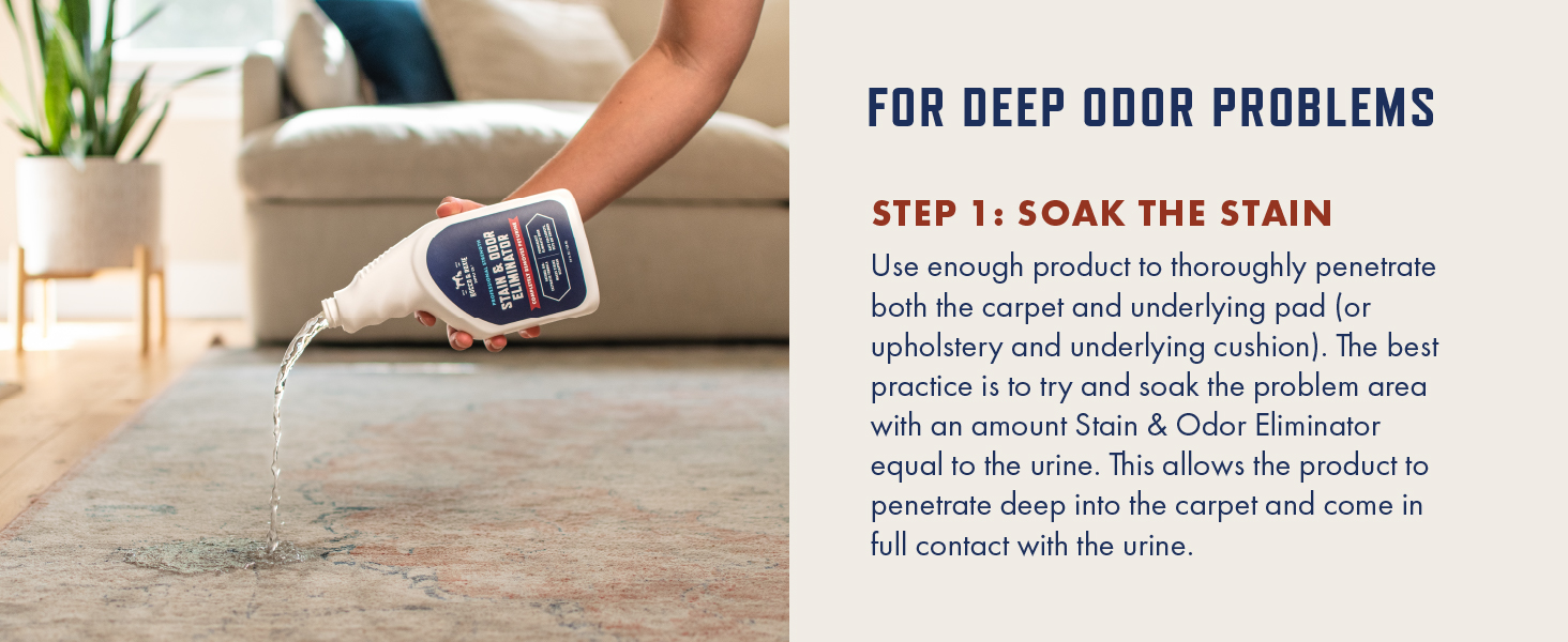 pet carpet cleaner