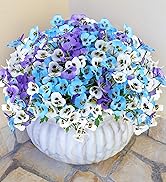 white purple blue outdoor flowers