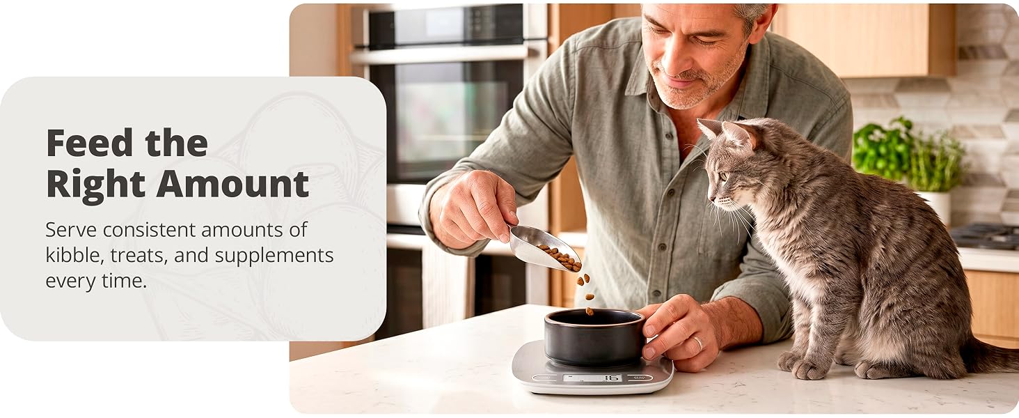 ? greater goods stainless steel kitchen scale man portioning cat food with cat watching