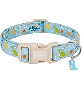 Astdogio Dinosaur Dog Collar for Small Dogs, Cute Puppy Collars with Quick Release Buckle, Cotton...