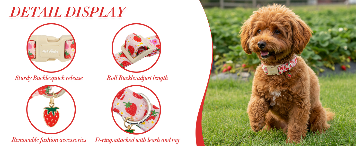 dog collar for large dogs