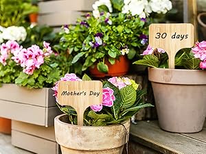 Bamboo Plant Labels