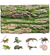 PINVNBY Reptile Cork Terrarium Background,Bearded Dragon Tank Natural Bark Backdrop Wall Habitat ...