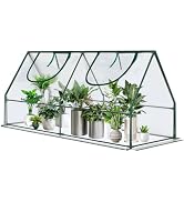 Mini Greenhouse, Portable 4x2x2ft Greenhouses for Outdoors Indoors Plants, Tabletop Small Green H...