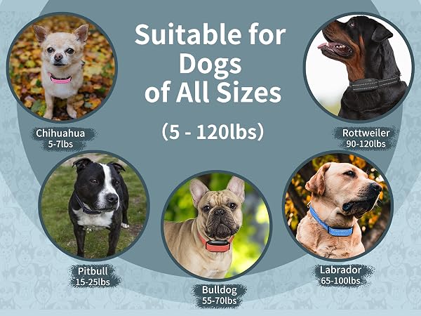dog vibrate collar vibrating collar for dogs training vibrating collar for small dogs 5-15lbs