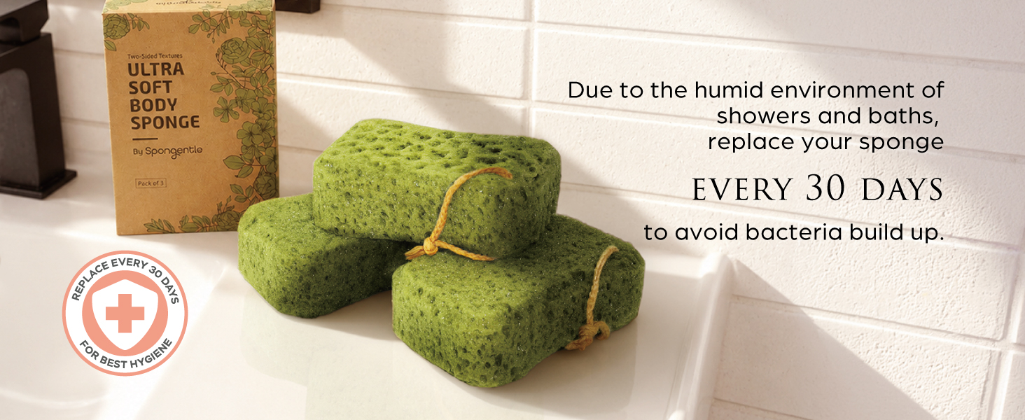 shower sponge