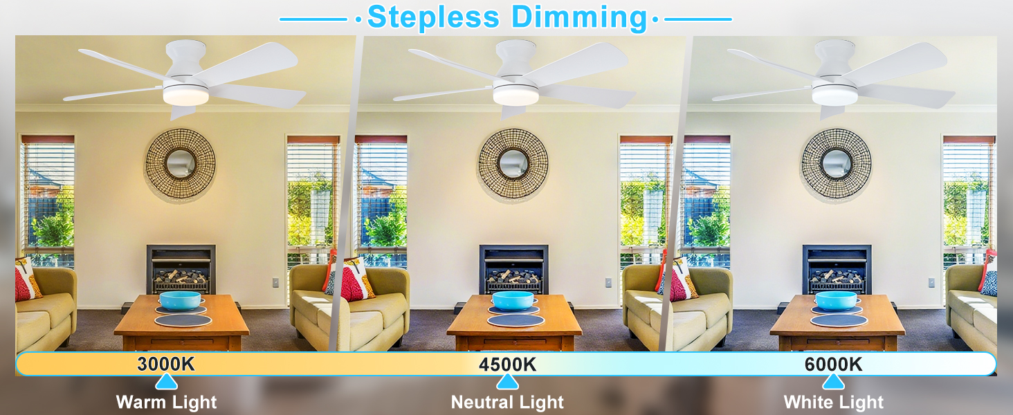 ceiling fan with light