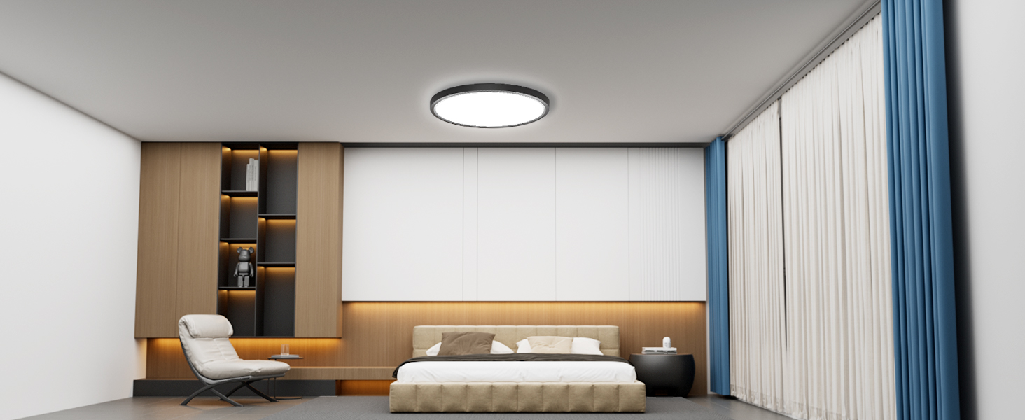 LED Ceiling Light