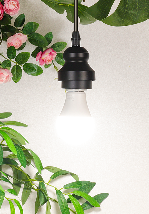 A19 LED Light Bulb