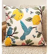 Kokaaee Embroidered Throw Pillow Cover 18x18 Inch - Spring Summer Boho Decorative Pillow Cover wi...