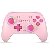 Switch Wireless Controller