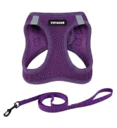 Voyager Step-in Pet Harness - All Weather Mesh, Adjustable Step in Harness for Cats and Dogs by B...