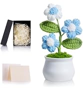 ZHIYUXI Blue Gifts for Women Crochet Handmade Flowers Desk Shelf Decor for Birthdays Anniversary ...