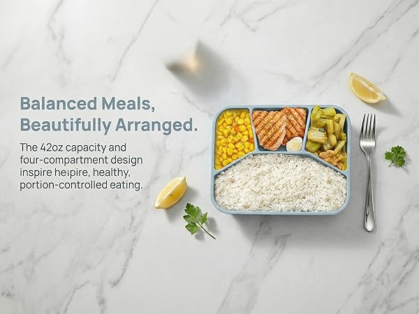 Silicone Bento Box