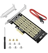 ELUTENG M.2 PCIE Dual Disk Drive Adapter NVME/NGFF Conversion M.2 Expansion Card PCIE NVME SSD Ad...