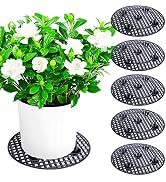 LFUTARI 6Pack Large 15" Plant Level Pot Elevator, Heavy Duty Plant Stands, Plant Pot Saucer for P...