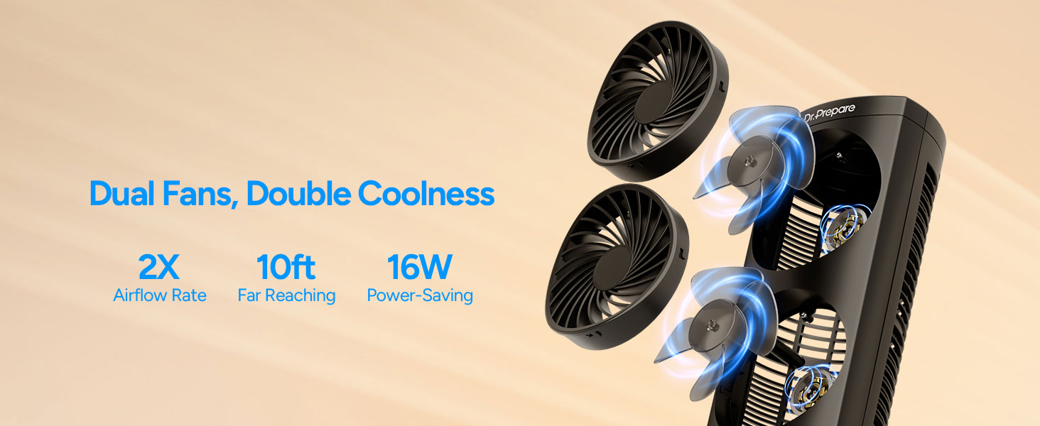dual fans