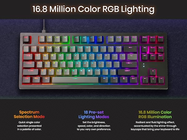 Tecware Phantom Plus Elite 87 RGB mechanical keyboard wireless gaming keyboard 87 key