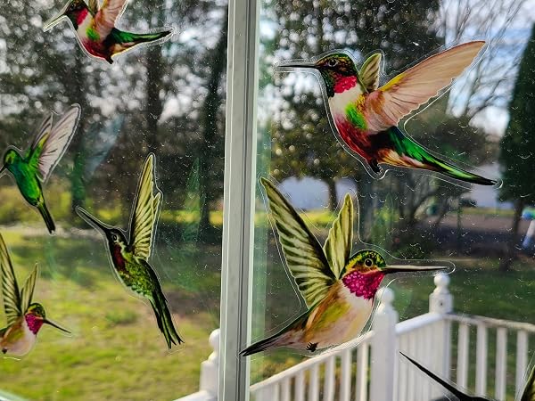 Realistic multi-colored hummingbird window clings on a glass door to prevent bird strikes